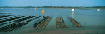 Mor Bihan, petite mer © Philip Plisson / Plisson La Trinité / AA17218 - Nos reportages photos - Morbihan [Golfe du]