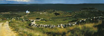 Stones and peat Carna © Philip Plisson / Plisson La Trinité / AA17279 - Photo Galleries - Ireland