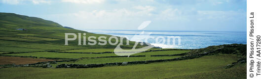 Great Blasket - © Philip Plisson / Plisson La Trinité / AA17280 - Photo Galleries - Ireland
