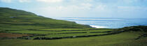 Grande Blasket © Philip Plisson / Plisson La Trinité / AA17280 - Nos reportages photos - Irlande, l'île verte
