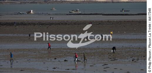 Fishing into Quiberon bay - © Philip Plisson / Plisson La Trinité / AA17348 - Photo Galleries - Low tide