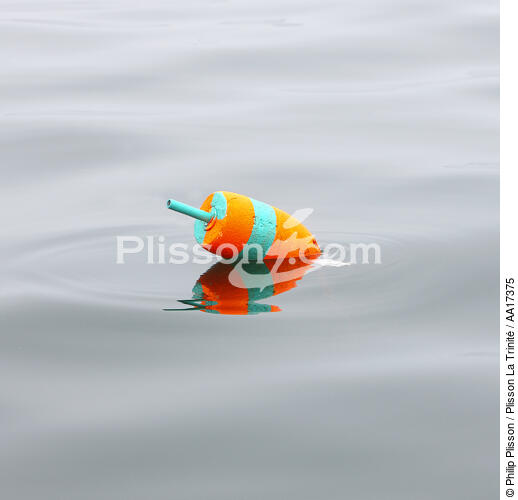 Buoy. - © Philip Plisson / Plisson La Trinité / AA17375 - Photo Galleries - United States [The]