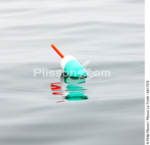 Buoy. - © Philip Plisson / Plisson La Trinité / AA17376 - Photo Galleries - Buoy