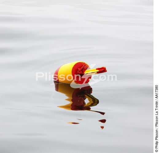 Buoy. - © Philip Plisson / Plisson La Trinité / AA17380 - Photo Galleries - Autumn Colors in New England