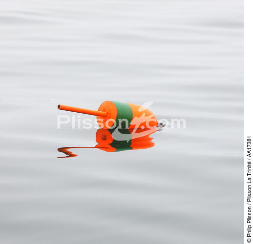 Buoy. - © Philip Plisson / Plisson La Trinité / AA17381 - Photo Galleries - Fishing equipment