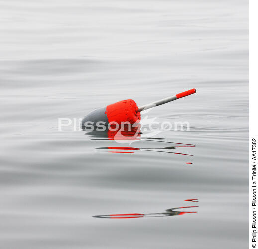 Buoy. - © Philip Plisson / Plisson La Trinité / AA17382 - Photo Galleries - Maine