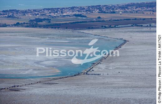The Gois passage - © Philip Plisson / Plisson La Trinité / AA17421 - Photo Galleries - Low tide
