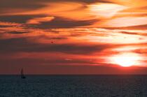 Sunrise on mediteranean sea © Philip Plisson / Plisson La Trinité / AA17424 - Photo Galleries - Sun