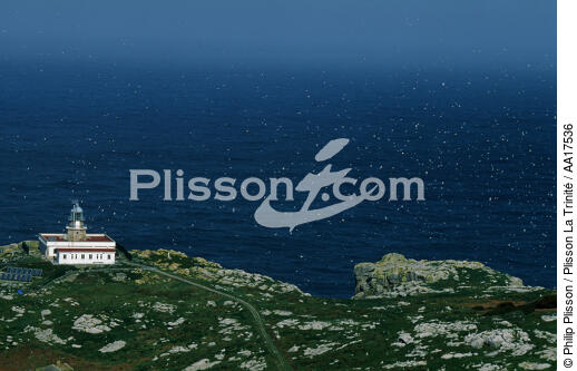 Islas Sisargas, Galice, Espagne - © Philip Plisson / Plisson La Trinité / AA17536 - Nos reportages photos - Galice