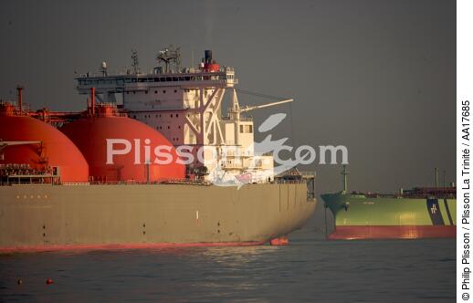 Waiting into Algésiras bay. - © Philip Plisson / Plisson La Trinité / AA17685 - Photo Galleries - Cargo ship carrying methane