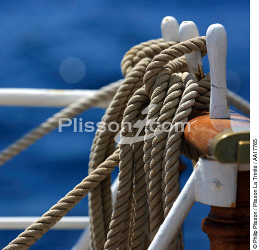 in board of Belem. - © Philip Plisson / Plisson La Trinité / AA17765 - Photo Galleries - Ropes and rigging