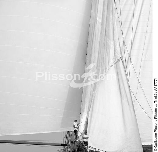 Dans la toile. - © Guillaume Plisson / Plisson La Trinité / AA17774 - Nos reportages photos - Yachting
