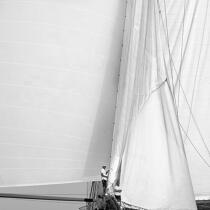 In the sails. © Guillaume Plisson / Plisson La Trinité / AA17774 - Photo Galleries - Les Voiles de Saint-Tropez