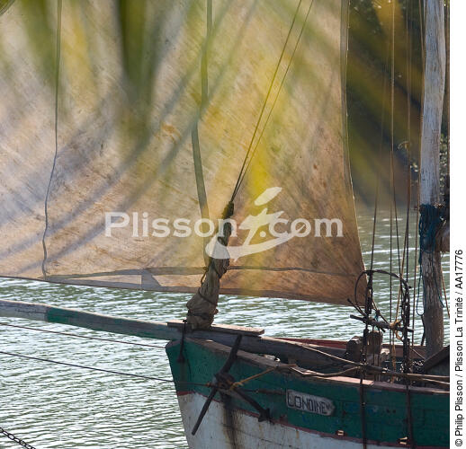 Sur le canal de Morondava. - © Philip Plisson / Plisson La Trinité / AA17776 - Nos reportages photos - Morondava