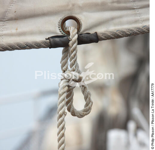 Rigging - © Philip Plisson / Plisson La Trinité / AA17779 - Photo Galleries - Elements of boat
