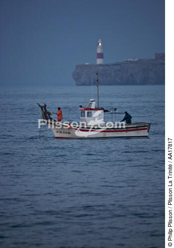 Gibraltar lighthouse - © Philip Plisson / Plisson La Trinité / AA17817 - Photo Galleries - Colony