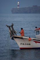 Détroit de Gibraltar © Philip Plisson / Plisson La Trinité / AA17819 - Nos reportages photos - Type de pêche