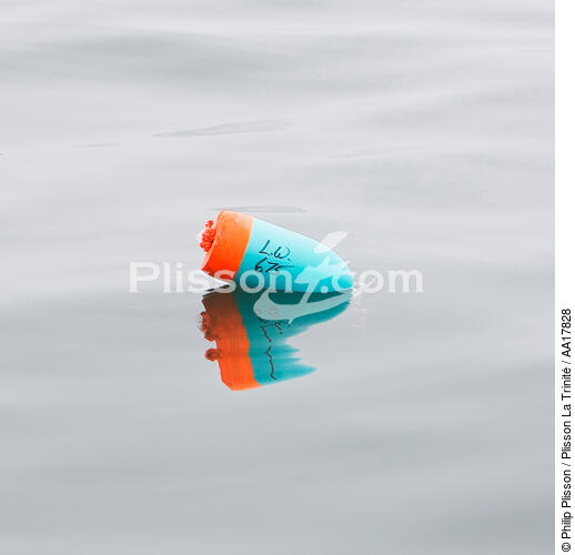 Buoy. - © Philip Plisson / Plisson La Trinité / AA17828 - Photo Galleries - Sea decoration