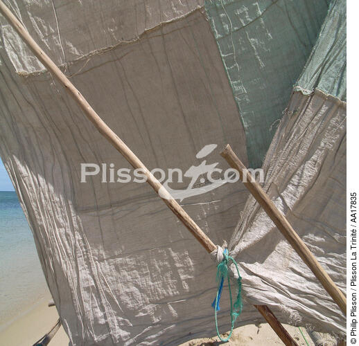 Dugout with pendulum. - © Philip Plisson / Plisson La Trinité / AA17835 - Photo Galleries - Sea decoration