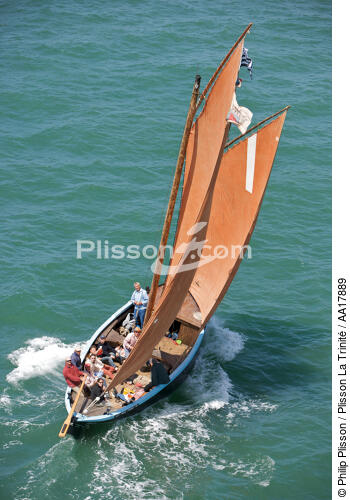 Semaine du Golfe 2007. - © Philip Plisson / Plisson La Trinité / AA17889 - Photo Galleries - Sinagot, traditional "Golfe du Morbihan" boat