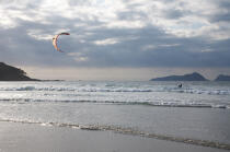 Kitesurf en Galice. © Philip Plisson / Plisson La Trinité / AA17893 - Nos reportages photos - Sport et loisir