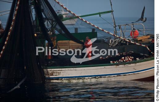 Pêche a la sardines au petit matin - © Philip Plisson / Plisson La Trinité / AA17965 - Nos reportages photos - Filet de pêche
