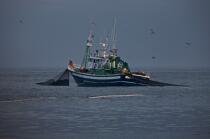 Pêche a la sardines au petit matin © Philip Plisson / Plisson La Trinité / AA17966 - Nos reportages photos - Mer calme
