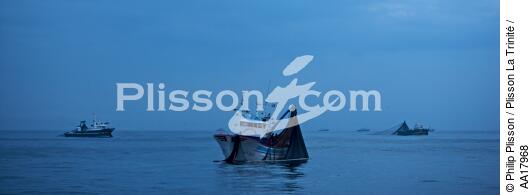 Pêche a la sardines au petit matin - © Philip Plisson / Plisson La Trinité / AA17968 - Nos reportages photos - Pêcheur