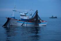 Pêche a la sardines au petit matin © Philip Plisson / Plisson La Trinité / AA17969 - Nos reportages photos - Mer calme