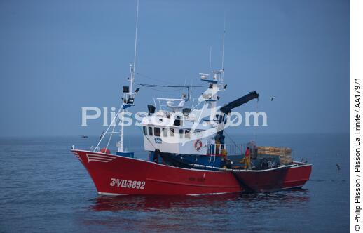 Pêche a la sardines au petit matin - © Philip Plisson / Plisson La Trinité / AA17971 - Nos reportages photos - Pêche à la senne