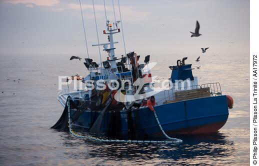 Pêche a la sardines au petit matin - © Philip Plisson / Plisson La Trinité / AA17972 - Nos reportages photos - Galice