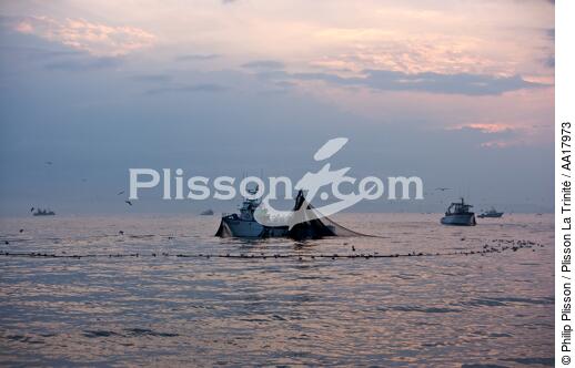 Pêche a la sardines au petit matin - © Philip Plisson / Plisson La Trinité / AA17973 - Nos reportages photos - La pêche à la sardine