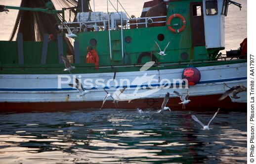 Pêche a la sardines au petit matin - © Philip Plisson / Plisson La Trinité / AA17977 - Nos reportages photos - Mer calme