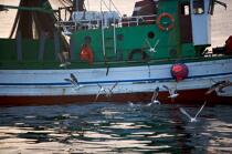 Pêche a la sardines au petit matin © Philip Plisson / Plisson La Trinité / AA17977 - Nos reportages photos - Sardine