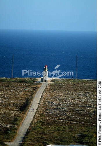 Sagres, Algarve, Portugal - © Philip Plisson / Plisson La Trinité / AA17988 - Nos reportages photos - Portugal