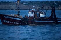Pêche a la Sardines sur la Côte d'Algarve © Philip Plisson / Plisson La Trinité / AA18001 - Nos reportages photos - Portugal