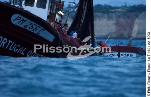 Pêche a la Sardines sur la Côte d'Algarve - © Philip Plisson / Plisson La Trinité / AA18003 - Nos reportages photos - La pêche à la sardine