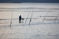 Pêche a la ligne dans le chenal de Port Napoléon © Philip Plisson / Plisson La Trinité / AA18063 - Nos reportages photos - Site [13]