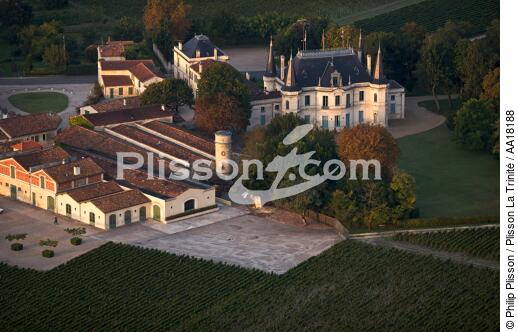 Château Palmer. - © Philip Plisson / Plisson La Trinité / AA18188 - Photo Galleries - Vineyard