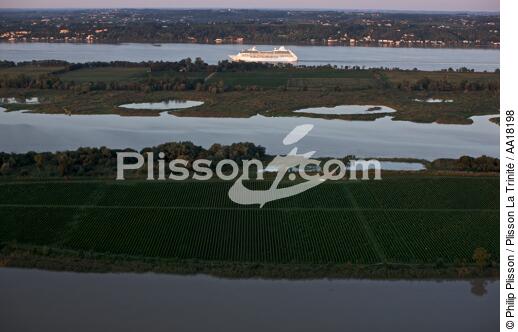 Le paquebot Regatta sur la Garonne. - © Philip Plisson / Plisson La Trinité / AA18198 - Nos reportages photos - La Grande Croisière