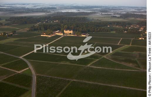 Château Cantenac Brown, grand cru classé de Margaux. - © Philip Plisson / Plisson La Trinité / AA18223 - Nos reportages photos - Flore