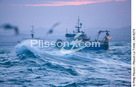Capelin fishing in Iceland. - © Philip Plisson / Plisson La Trinité / AA18274 - Photo Galleries - Storms