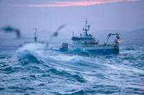 Capelin fishing in Iceland. © Philip Plisson / Plisson La Trinité / AA18274 - Photo Galleries - Storm at sea