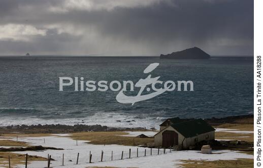 Les îles Westman en Islande. - © Philip Plisson / Plisson La Trinité / AA18288 - Nos reportages photos - Ile (Islande)