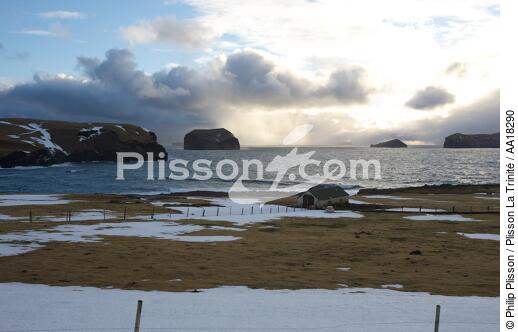 Les îles Westman en Islande. - © Philip Plisson / Plisson La Trinité / AA18290 - Nos reportages photos - Iles Westman