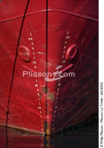 Stem - © Philip Plisson / Plisson La Trinité / AA18303 - Photo Galleries - Elements of boat