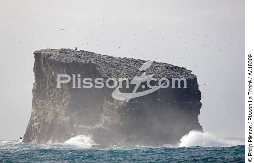 Les îles Westman en Islande. - © Philip Plisson / Plisson La Trinité / AA18309 - Nos reportages photos - Iles Westman
