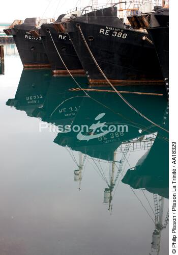Etrave - © Philip Plisson / Plisson La Trinité / AA18329 - Nos reportages photos - Elément d'un bateau