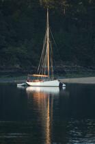 Lady Maud in the gulf of Morbihan. © Philip Plisson / Plisson La Trinité / AA18552 - Photo Galleries - Auray [The River of]