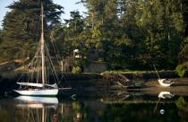 Lady Maud in the gulf of Morbihan. © Philip Plisson / Plisson La Trinité / AA18553 - Photo Galleries - Auray [The River of]
